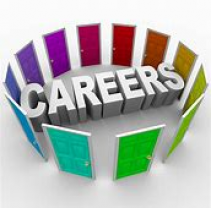 Careers Support for Yr 12 and 14
